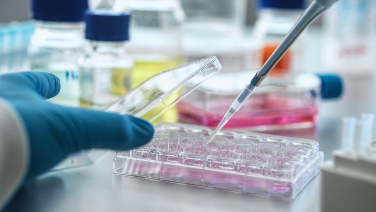 Curso de Biomedicina