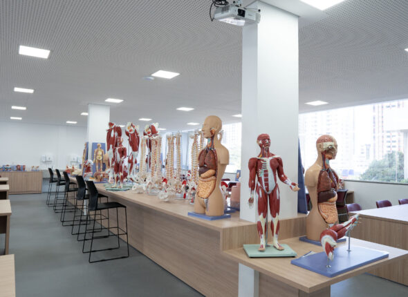 Laboratório Morfofuncional