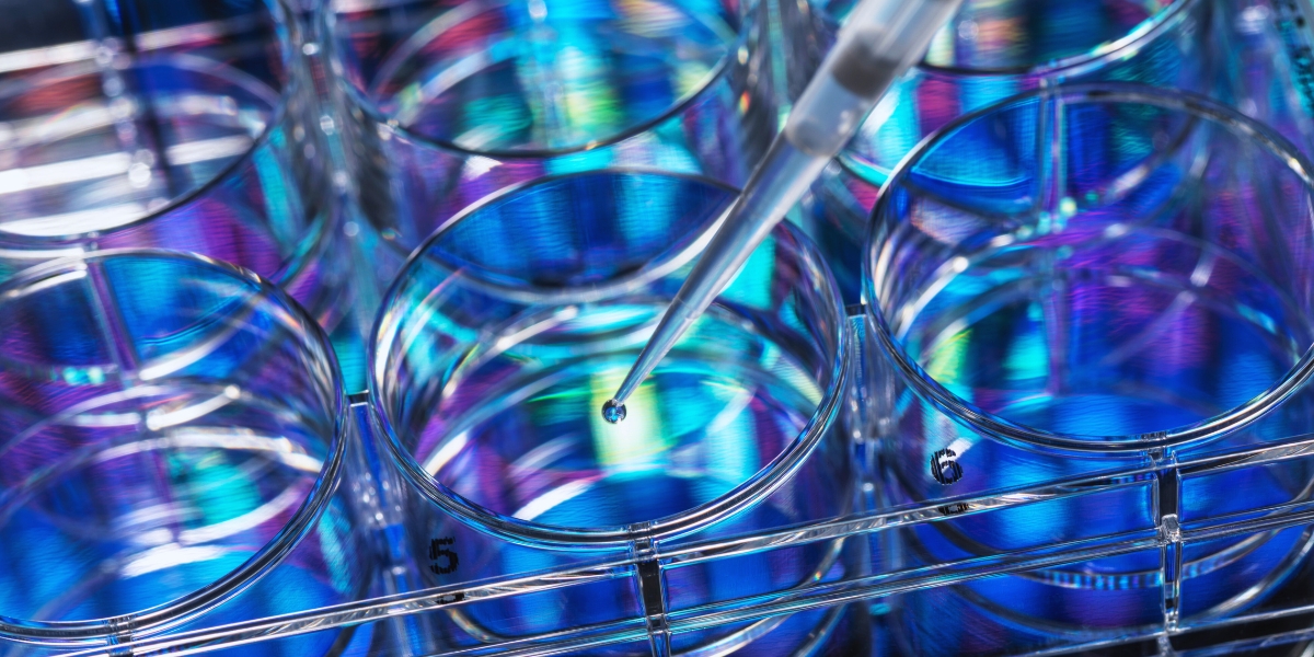 Como é o curso de Biomedicina