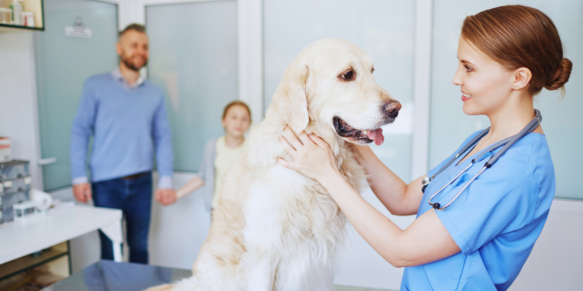 Clínica e hospital veterinário