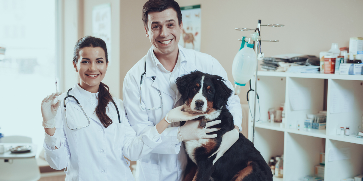 curso de Medicina Veterinária