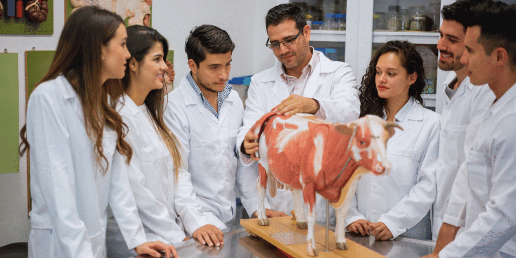 Medicina veterinária