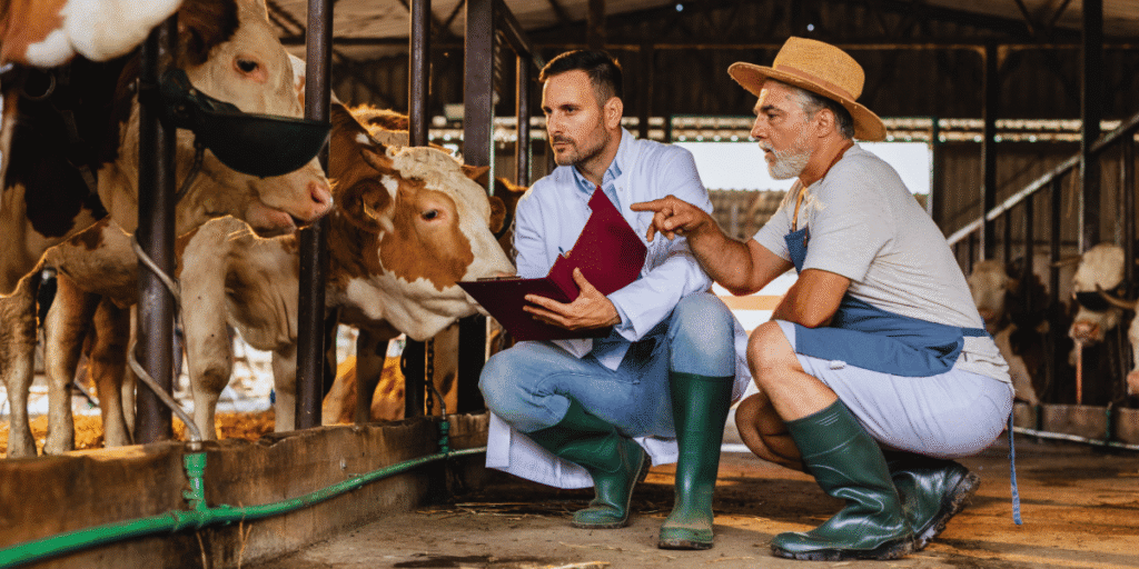 Medicina Veterinária em produção animal
